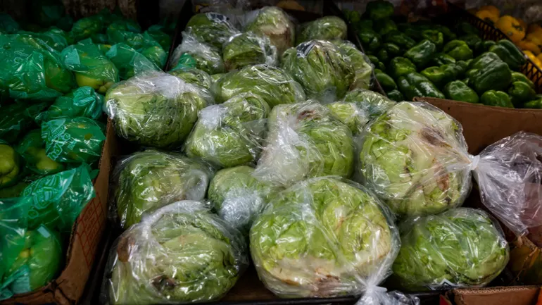 食品供应链中的粪便污染：环孢子虫之夏过后，餐饮业面临什么？